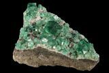 Fluorite & Galena Cluster - Rogerley Mine #93907-2